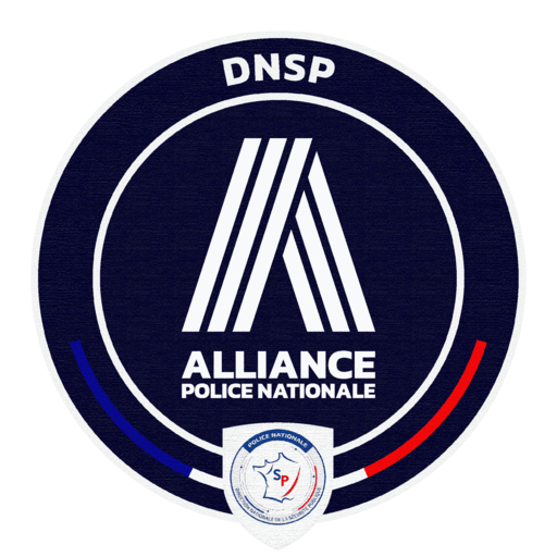 DNSP